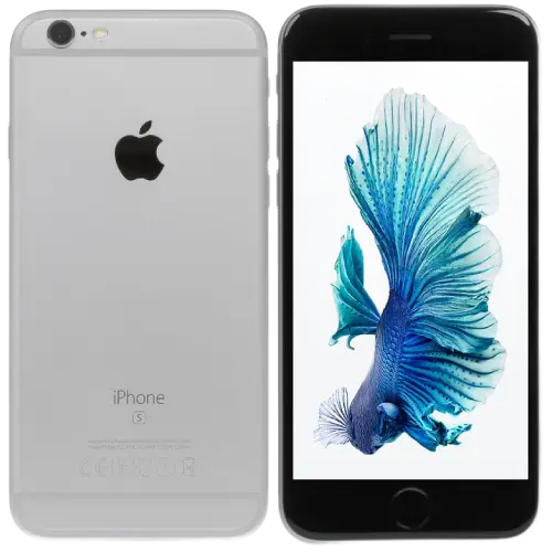6s